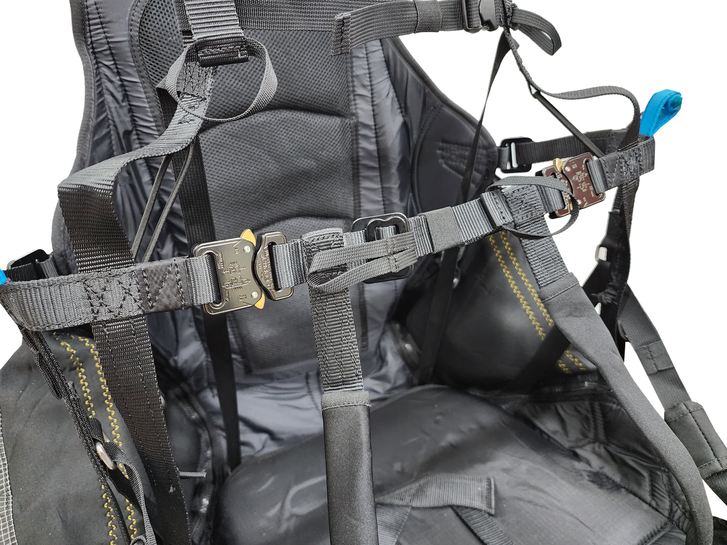 OCTAVE - PPG harness